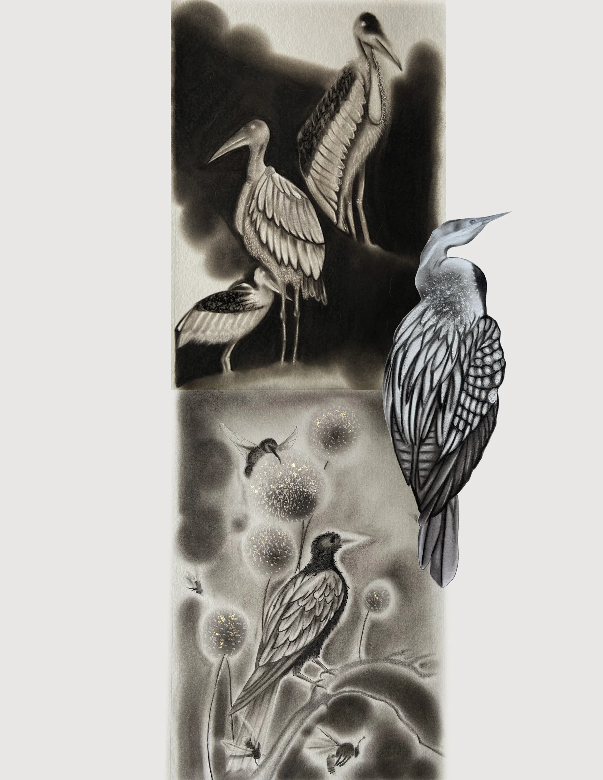 Birds — charcoal composition on paper