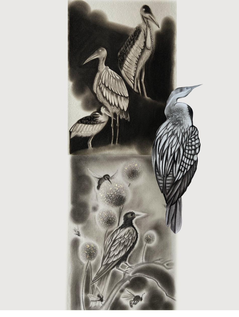 Greater Adjutant, Oriental Darter and Crimson Sunbird — charcoal composition