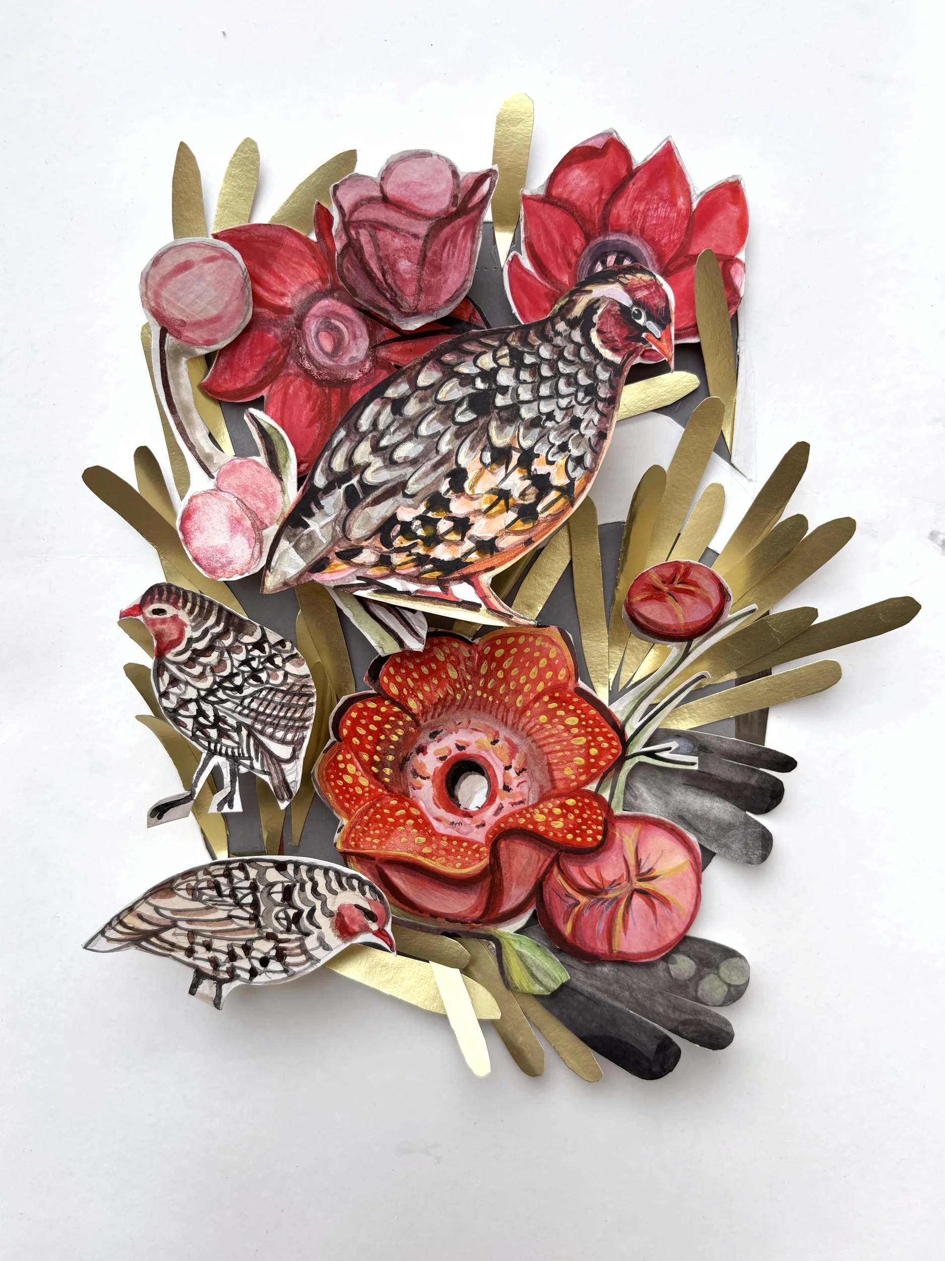 Manipur Bush Quail — paper art
