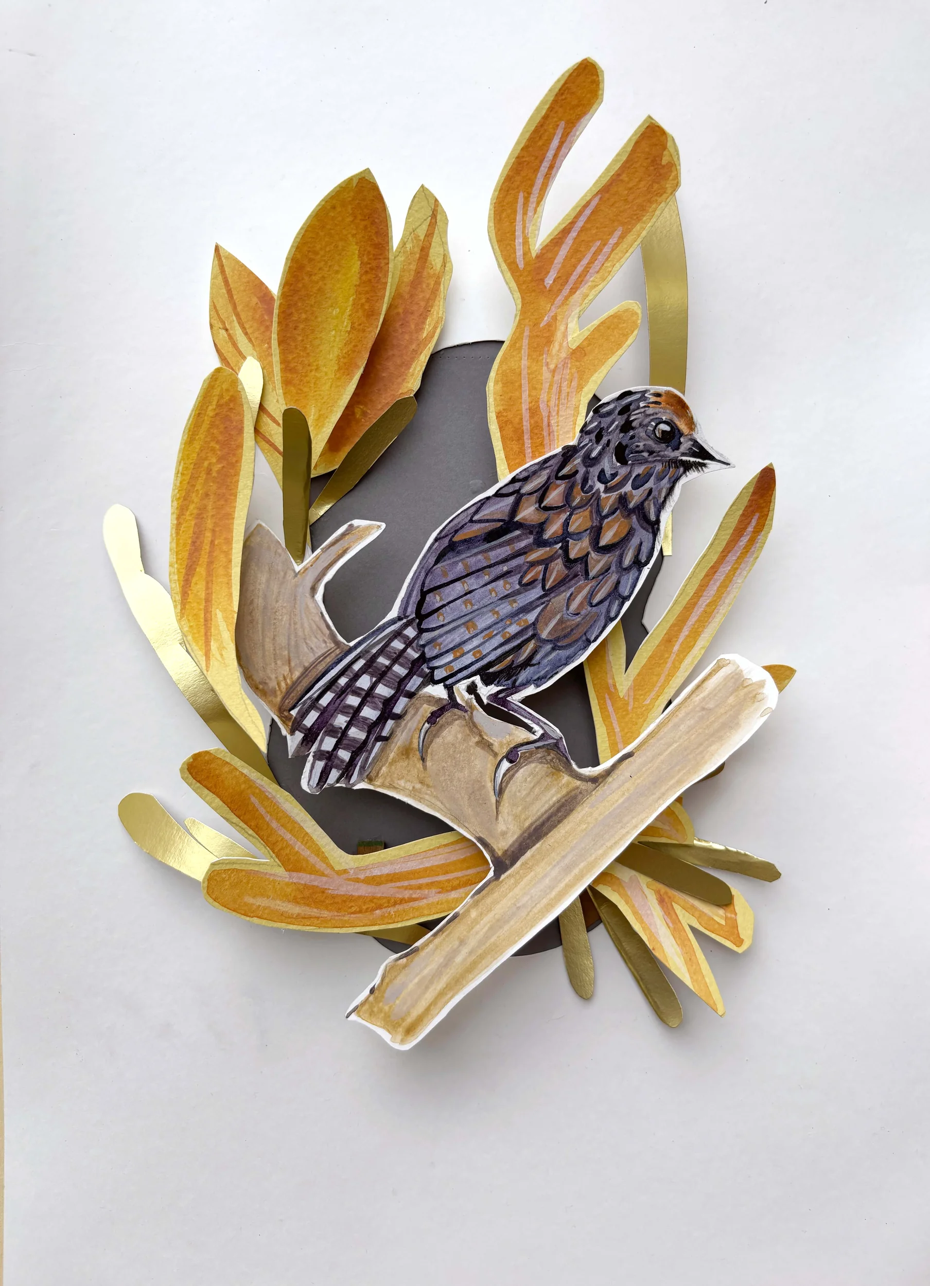 Sikkim Wedge-billed Babbler — paper art